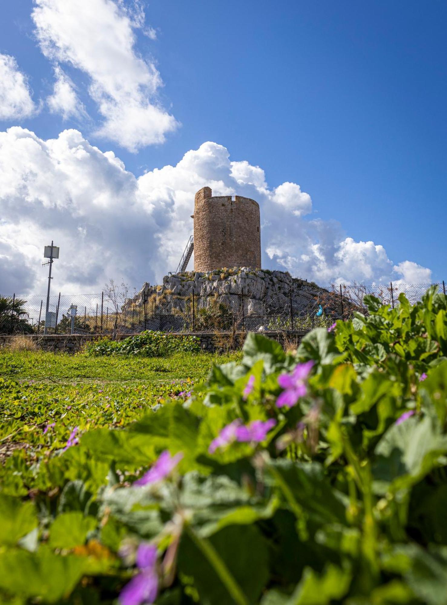 Ciuri Ciuri Daire Isola delle Femmine Dış mekan fotoğraf